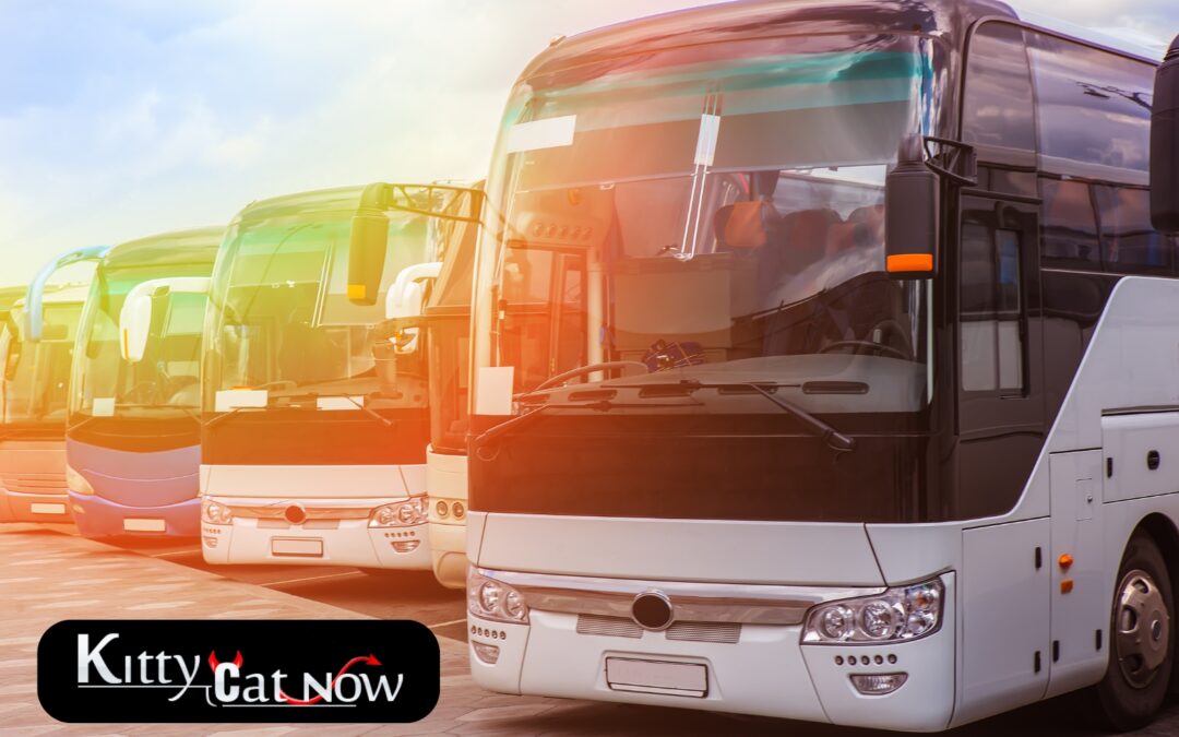 Strippers on Party buses In Tampa
