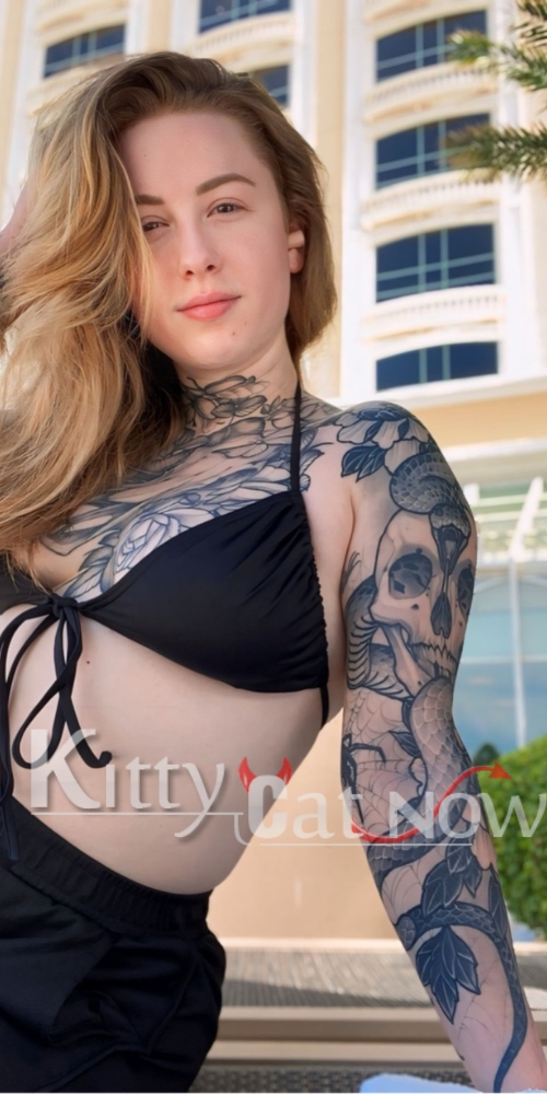 Kitty Cat Now Tampa-Kendall