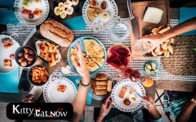 Unforgettable Brunch Party Ideas in Tampa: Food, Fun, and Entertainment with Kitty Cat Now Strippers