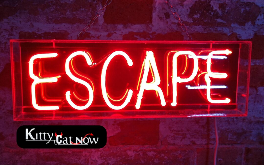 Escape the Ordinary: How to Throw a Bachelor Party He’ll Never Forget in Tampa