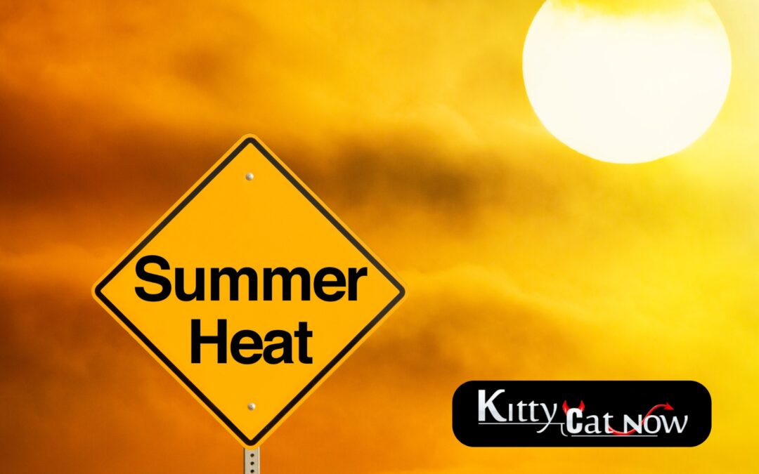 How to Heat Up Your Summer Parties with Exotic Dancers in Tampa