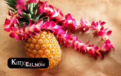 Top 5 Summer Party Themes with Strippers In Tampa