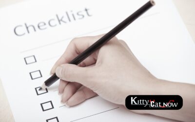 Tampa Bachelor Party Planning Checklist: Fall Edition