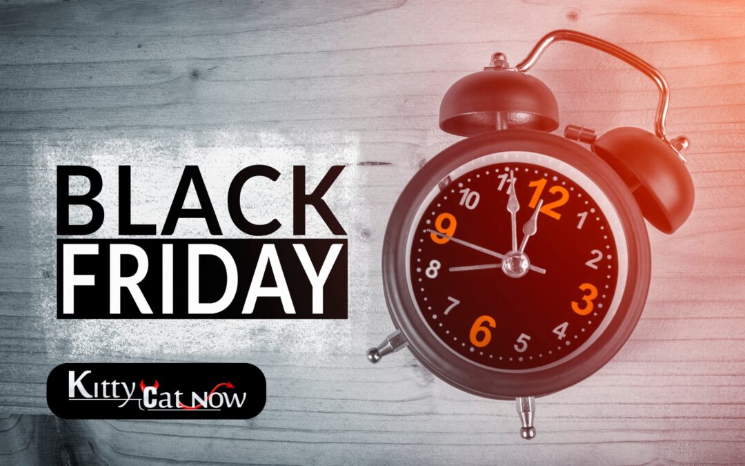 Black Friday Party Ideas: Celebrate Big with Exotic Dancers in Tampa