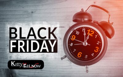 Black Friday Party Ideas: Celebrate Big with Exotic Dancers in Tampa