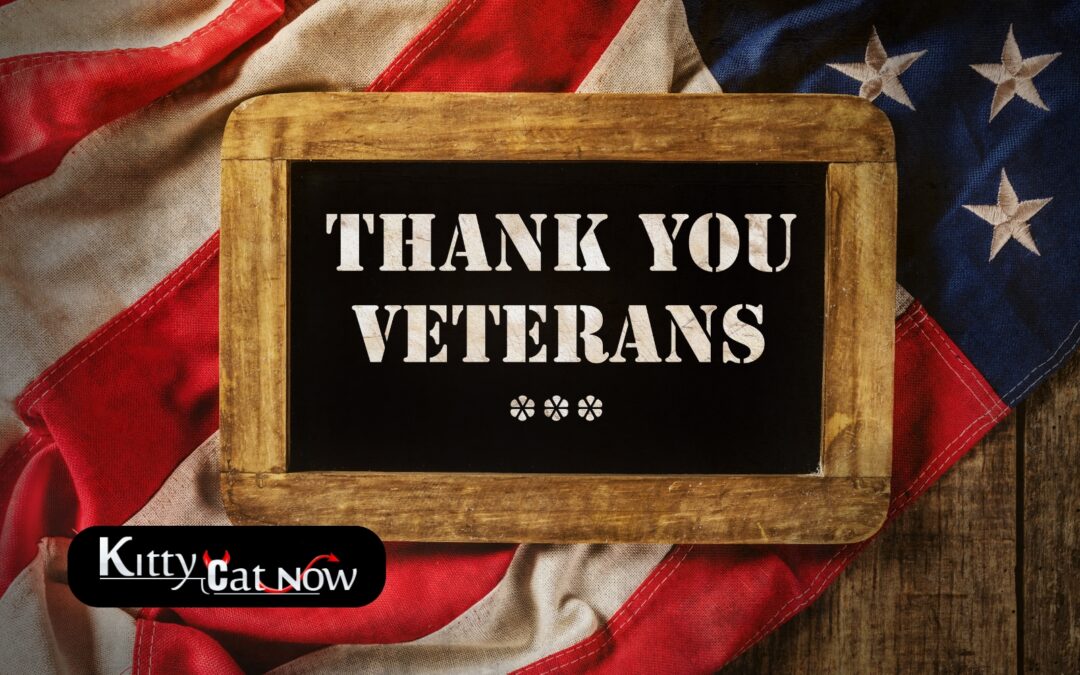 Veterans Day Ideas: Private Entertainers Bring the Party to You in Tampa