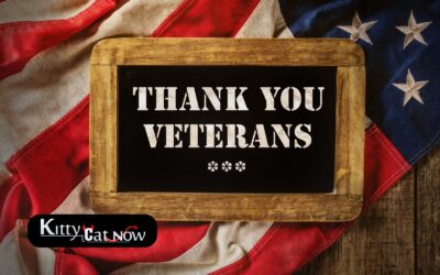 Veterans Day Ideas: Private Entertainers Bring the Party to You in Tampa