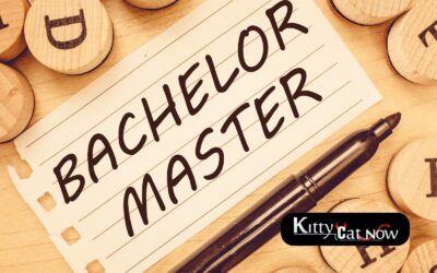 How to Start Your Bachelor Party in Tampa