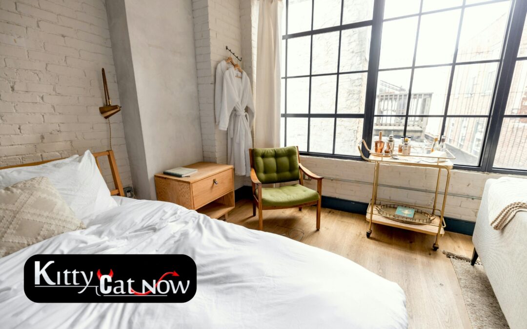 Planning a Private Airbnb Party with Strippers in Tampa