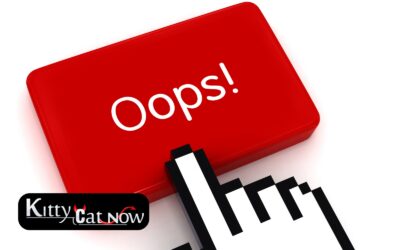 Top Mistakes to Avoid When Booking Strippers in Tampa