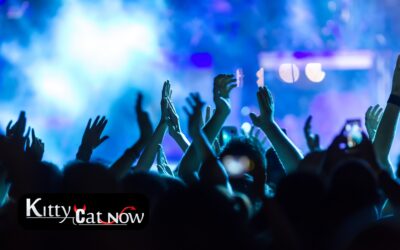 Why Booking Strippers from an Agency Is Safer Than Independents in Tampa