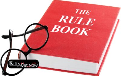 Bachelor Party House Rules in Tampa Before the Strippers Arrive