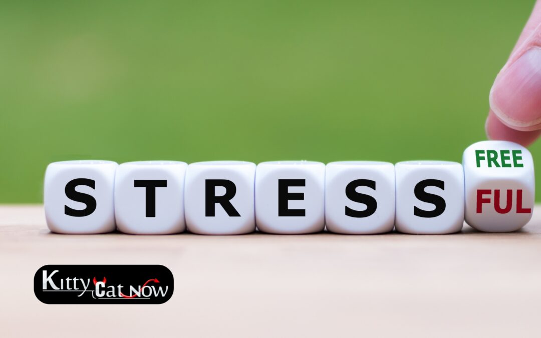 Hosting Private Party Entertainment at Home in Tampa: A Stress-Free Guide