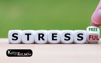 Hosting Private Party Entertainment at Home in Tampa: A Stress-Free Guide