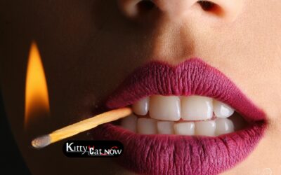 How Far in Advance Should You Book Strippers in Tampa?