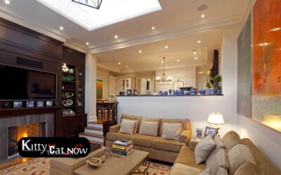 Transforming Your Living Room into a VIP Lounge in Tampa