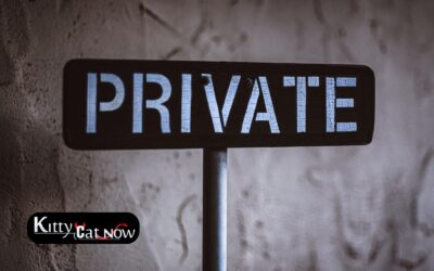 Why Private Party Entertainment Beats the Club Scene in Tampa