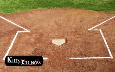 Booking Strippers During Baseball Spring Training in Tampa