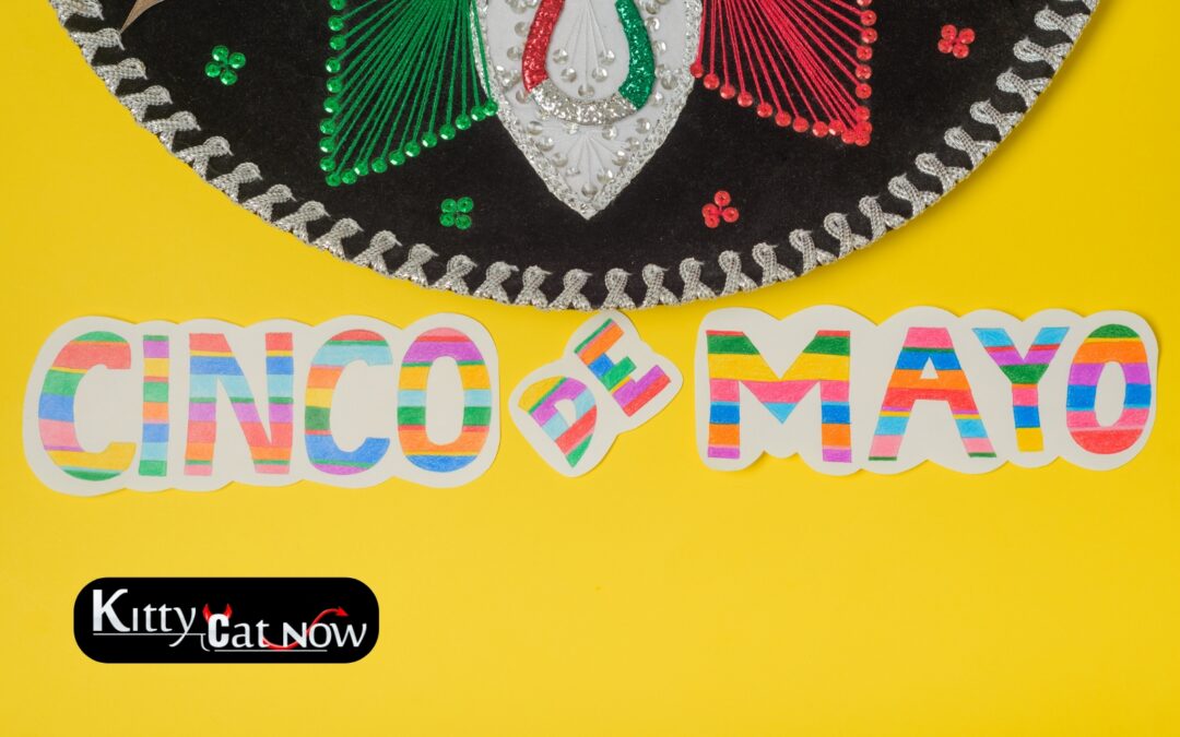 Cinco de Mayo Party Ideas in Tampa: Tacos, Tequila & Private Strippers