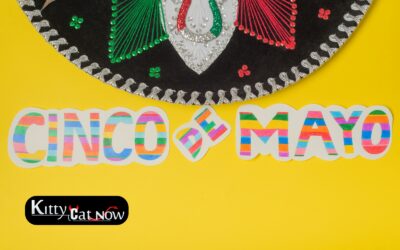 Cinco de Mayo Party Ideas in Tampa: Tacos, Tequila & Private Strippers