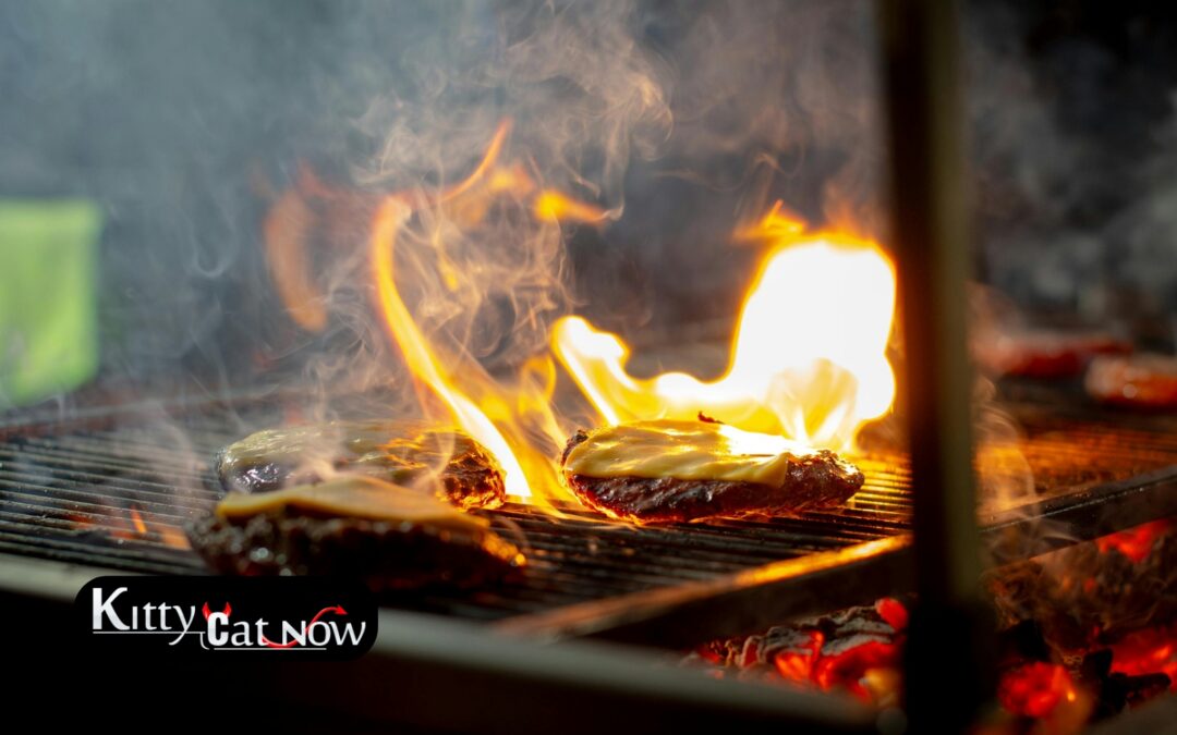 Memorial Day Party Ideas in Tampa: BBQ, Private Entertainment & VIP Vibes