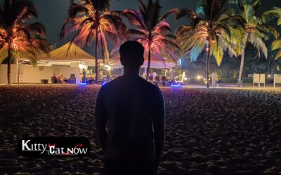 Midweek Party Planning in Tampa: Why Weekday Events Are Trending with Strippers
