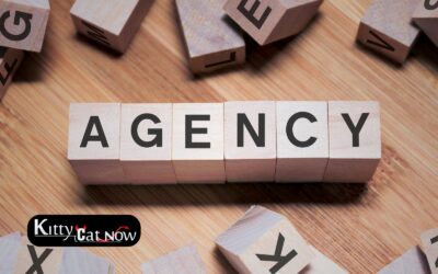 How to Choose a Legit Stripper Agency in Tampa