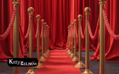 Why Booking Strippers in Tampa Creates a VIP Experience