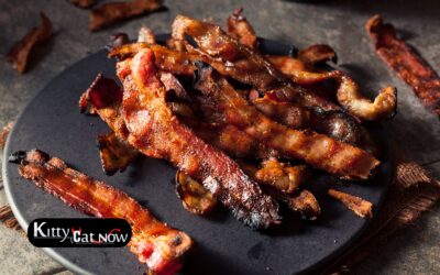 Boobs & Bacon in Tampa: The Ultimate Sunday Morning Bachelor Party Experience