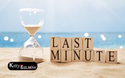 Last-Minute Bachelor Partying Tampa: Booking Entertainment on Short Notice