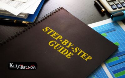 Planning a Tampa Bachelor Party Weekend: A Step-by-Step Timeline