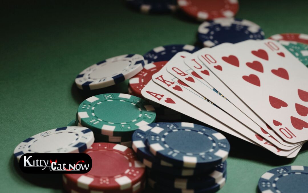 Poker Night Upgrade: Private Entertainment for Your Tampa Home Game
