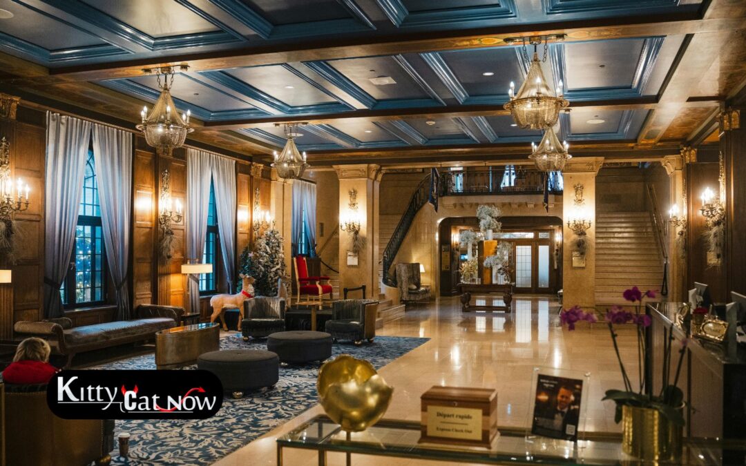 Hotel Suite vs. House Rental: Where to Host Your Tampa Bachelor Party