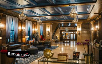 Hotel Suite vs. House Rental: Where to Host Your Tampa Bachelor Party
