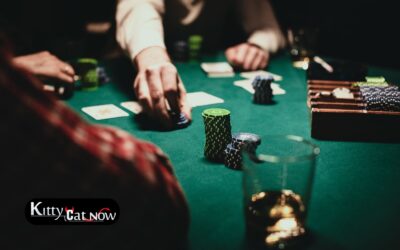 Topless Waitresses for Poker Night in Tampa: Turn Your Home Game into a VIP Party